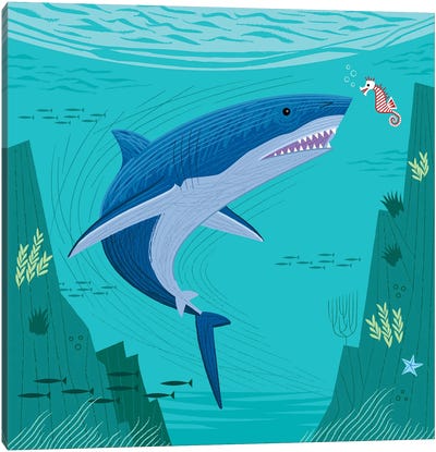 The Shark And The Seahorse Canvas Art Print - Shark Art