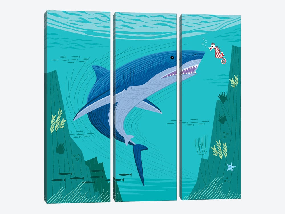 The Shark And The Seahorse by Oliver Lake 3-piece Canvas Art Print