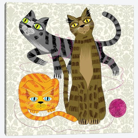 Three Cool Cats Canvas Print #OLV84} by Oliver Lake Canvas Art Print