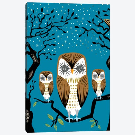 Three Lazy Owls Canvas Print #OLV85} by Oliver Lake Canvas Art Print