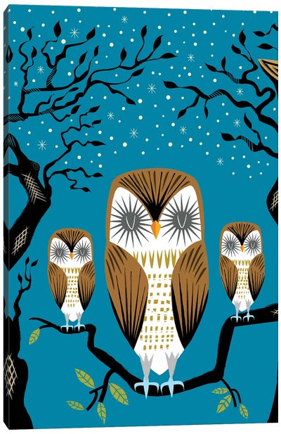Three Lazy Owls Canvas Art Print - Oliver Lake