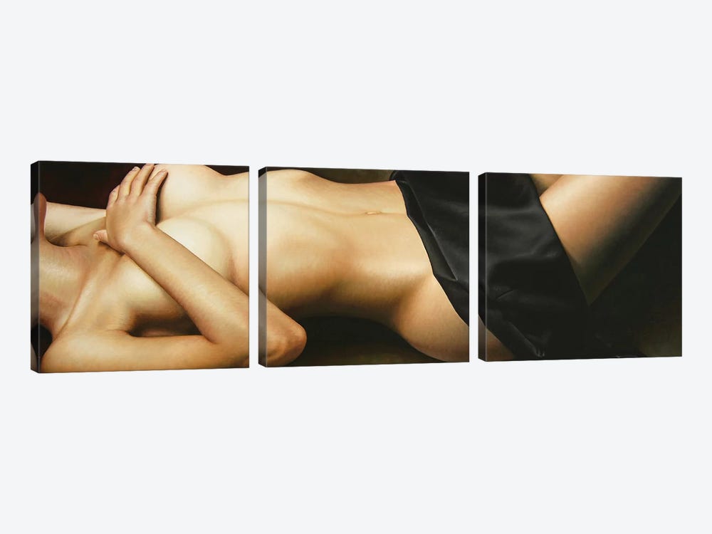 Nudity II by Omar Ortiz 3-piece Canvas Print
