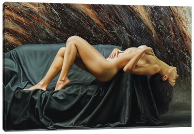 The Dream Canvas Art Print - Draped in Realism