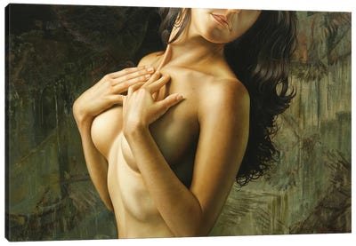 El Vuelo De Venus Canvas Art Print - Omar Ortiz