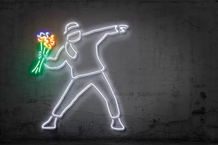Rage, Flower Thrower by Octavian Mielu wall art