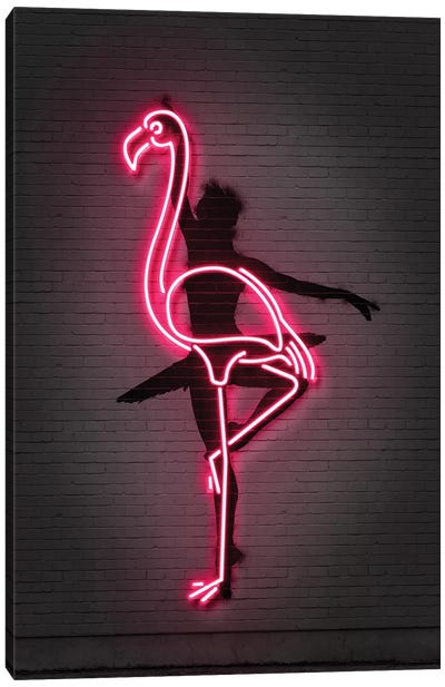 Ballerina Canvas Art Print - Black & Pink