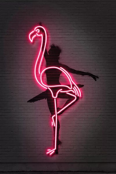 Black & Pink: Ballerina by Octavian Mielu