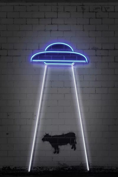 Animal Humor: UFO by Octavian Mielu