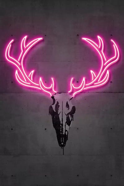 Antlers: Deer Skull by Octavian Mielu