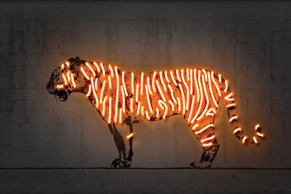 Tigers