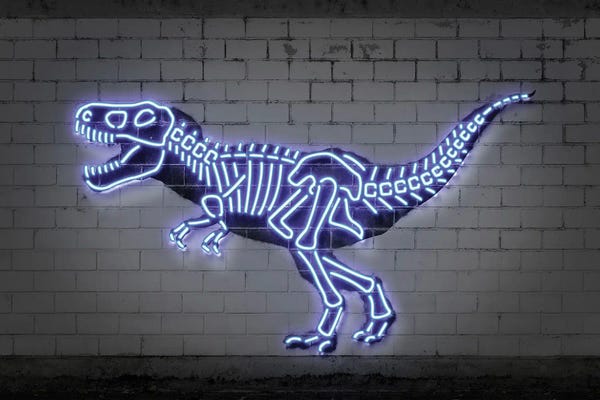 Kids Dinosaur Art: T-Rex Skeleton by Octavian Mielu