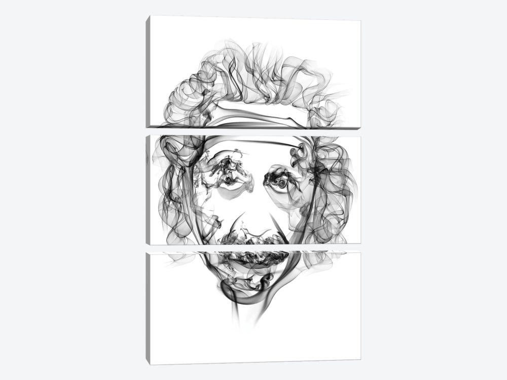 Albert Einstein by Octavian Mielu 3-piece Canvas Artwork