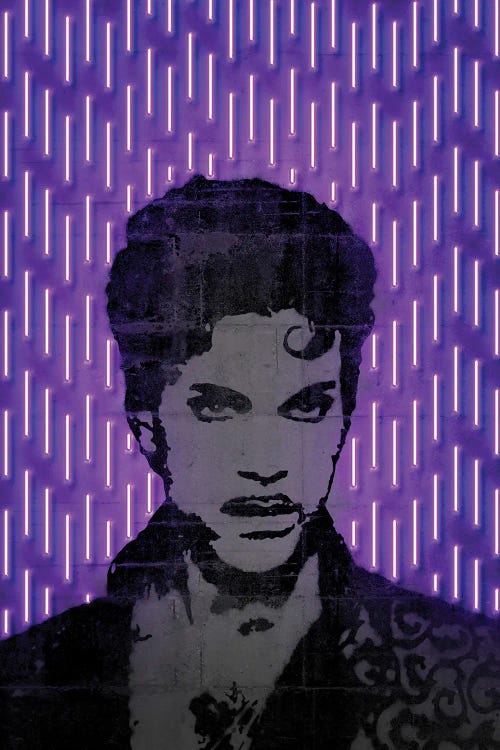 Prince by Octavian Mielu wall art