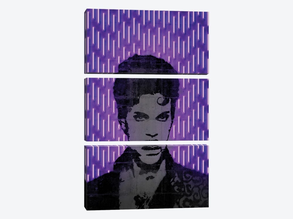 Prince by Octavian Mielu 3-piece Canvas Artwork