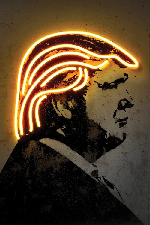 Trump by Octavian Mielu wall art