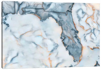 Florida Marble Map Canvas Art Print