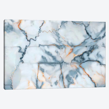 Tennessee Marble Map Canvas Print #OMU476} by Octavian Mielu Canvas Wall Art