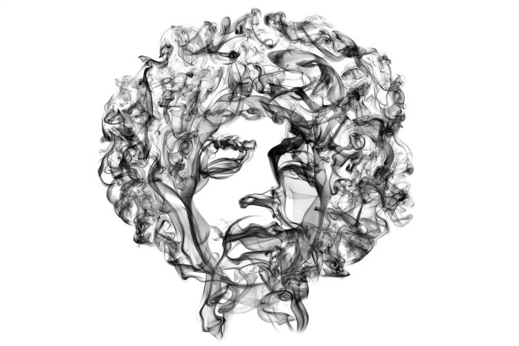 Jimi Hendrix by Octavian Mielu wall art