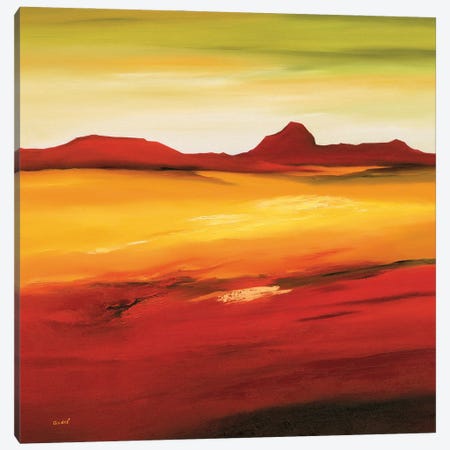 Australian Landscape II Canvas Print #OOT2} by André Schrooten Canvas Art Print
