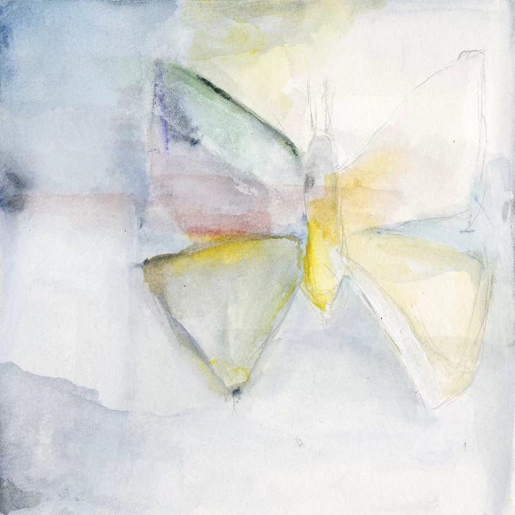 Butterfly II by Michelle Oppenheimer wall art