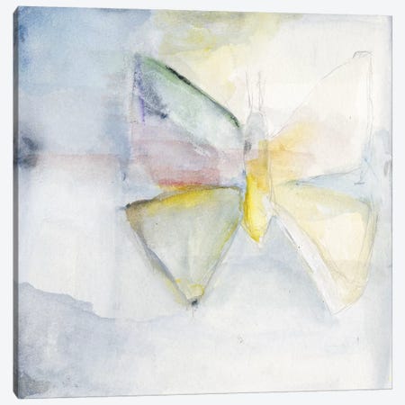 Butterfly II Canvas Print #OPP107} by Michelle Oppenheimer Art Print
