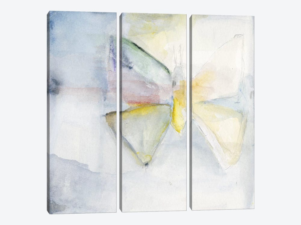 Butterfly II by Michelle Oppenheimer 3-piece Art Print