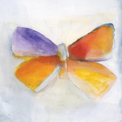 Butterfly IV by Michelle Oppenheimer acrylic art print