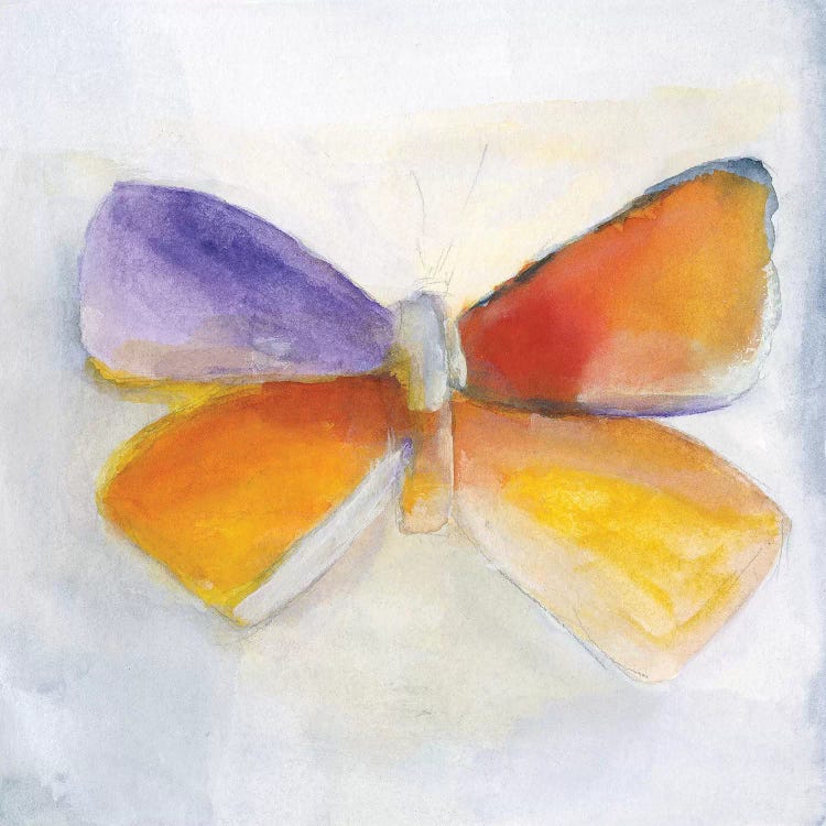 Butterfly IV by Michelle Oppenheimer wall art