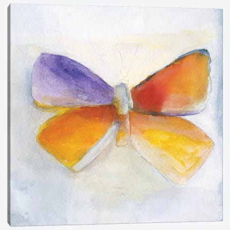 Butterfly IV Canvas Print #OPP109} by Michelle Oppenheimer Canvas Wall Art