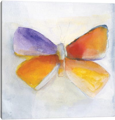 Butterfly IV Canvas Art Print - Michelle Oppenheimer