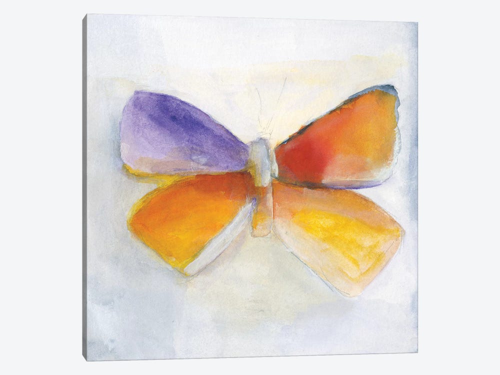 Butterfly IV by Michelle Oppenheimer 1-piece Canvas Print