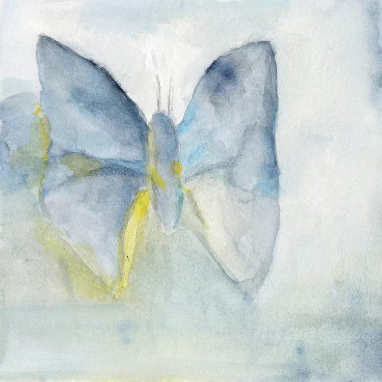 Butterfly V by Michelle Oppenheimer wall art