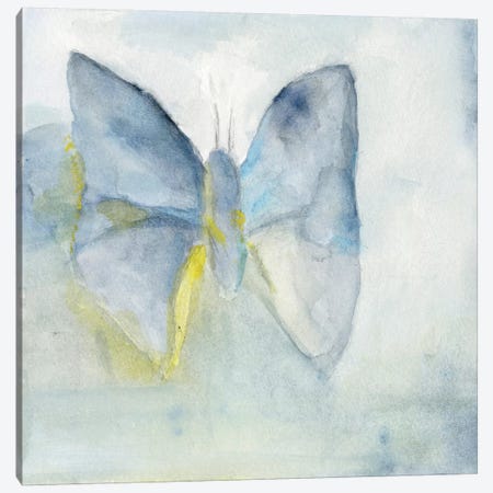 Butterfly V Canvas Print #OPP110} by Michelle Oppenheimer Canvas Print