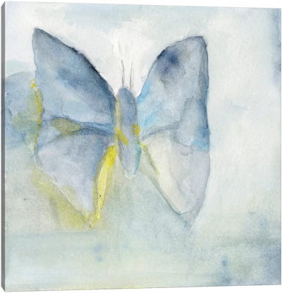 Butterfly V Canvas Art Print - Michelle Oppenheimer