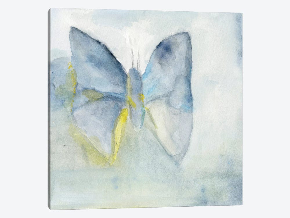 Butterfly V by Michelle Oppenheimer 1-piece Canvas Print