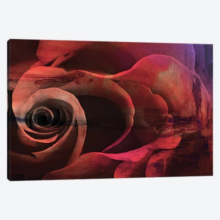 Floral Collaboration I Canvas Print #OPP30} by Michelle Oppenheimer Canvas Artwork