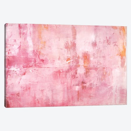 Pink Mirrors Canvas Print #OPP60} by Michelle Oppenheimer Canvas Art Print