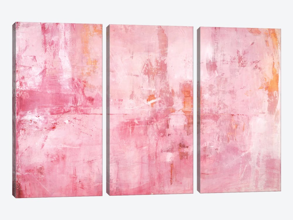 Pink Mirrors by Michelle Oppenheimer 3-piece Canvas Art Print