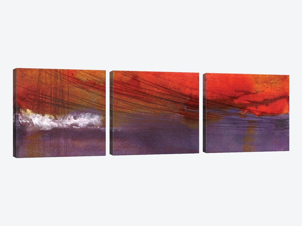 Plum Clouds by Michelle Oppenheimer 3-piece Canvas Artwork