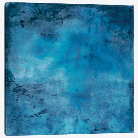 Blue Lagoon Canvas Print #OPP9} by Michelle Oppenheimer Canvas Art