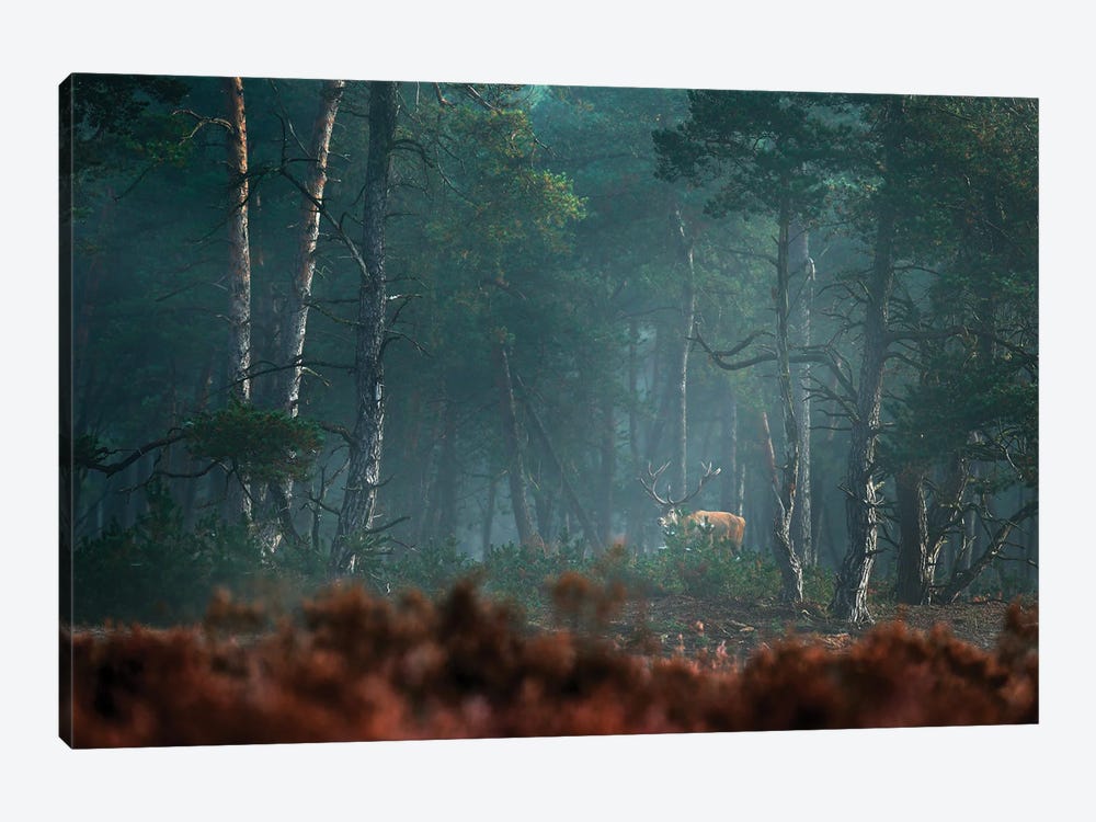 Mysty Forrest With Deer by Ondřej Prosický 1-piece Canvas Art Print