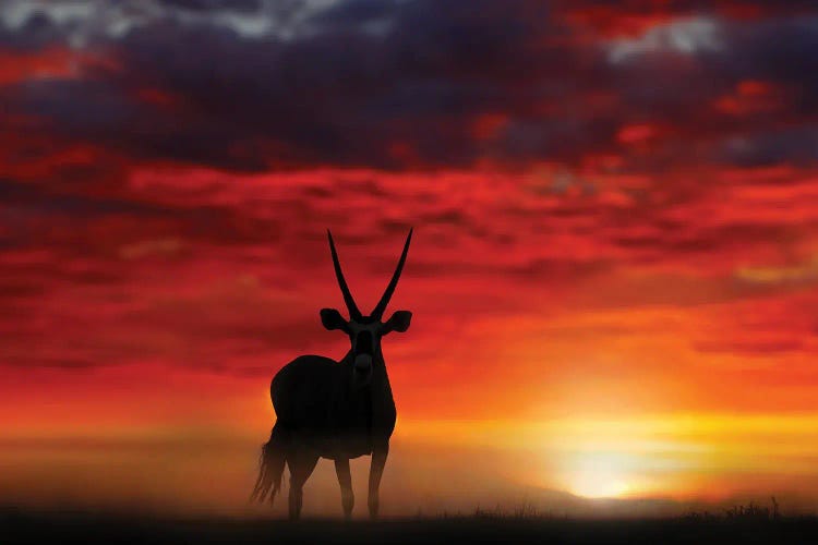 Oryx In Wild Sunset