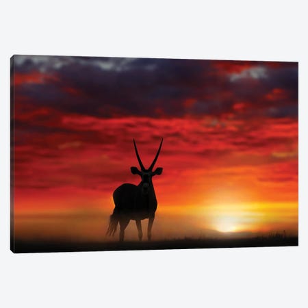 Oryx In Wild Sunset Canvas Print #OPR111} by Ondřej Prosický Canvas Art