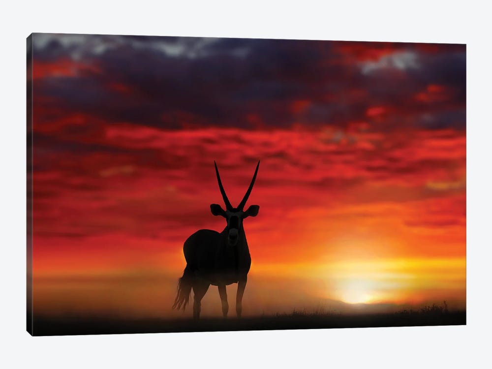 Oryx In Wild Sunset by Ondřej Prosický 1-piece Canvas Wall Art
