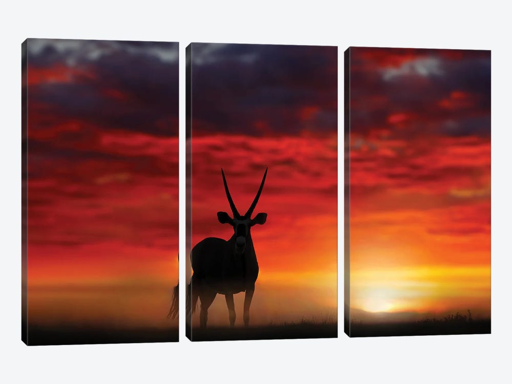Oryx In Wild Sunset by Ondřej Prosický 3-piece Canvas Wall Art