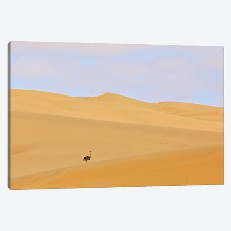 Ostrich In The Desert Canvas Print #OPR112} by Ondřej Prosický Canvas Wall Art