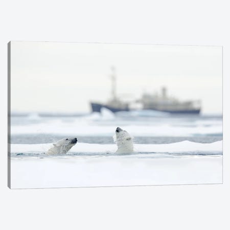 Polar Bears In Front Of A Vessel Canvas Print #OPR126} by Ondřej Prosický Canvas Art