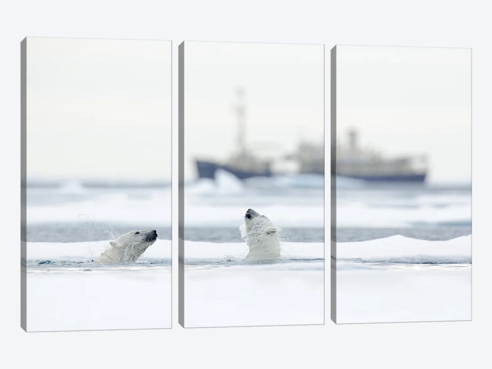 Polar Bears In Front Of A Vessel by Ondřej Prosický 3-piece Canvas Artwork
