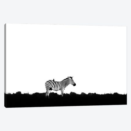 Zebra With Bird Doctor Canvas Print #OPR182} by Ondřej Prosický Art Print