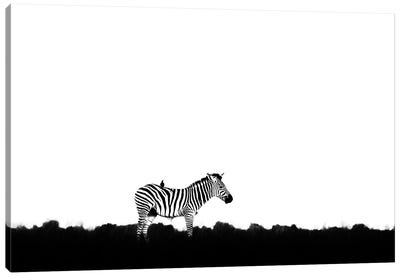 Zebra With Bird Doctor Canvas Art Print - Ondřej Prosický